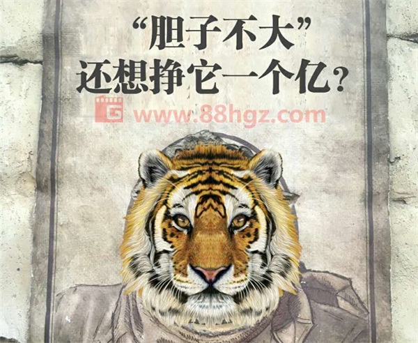 還能更高嗎？與迪瑪希共鳴的，是我們追隨企業(yè)宣傳片的信仰